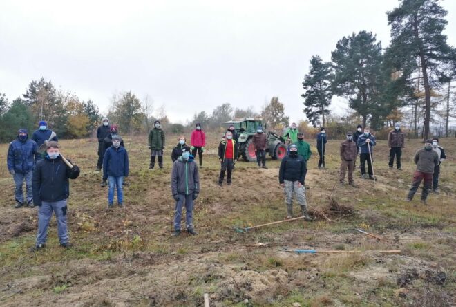 Schüler bei der Silbergraspflege