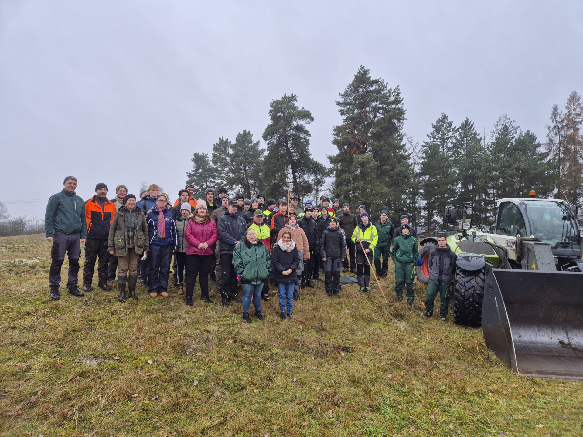 Wir pflegen das Silbergras in Straubing-Sand!
