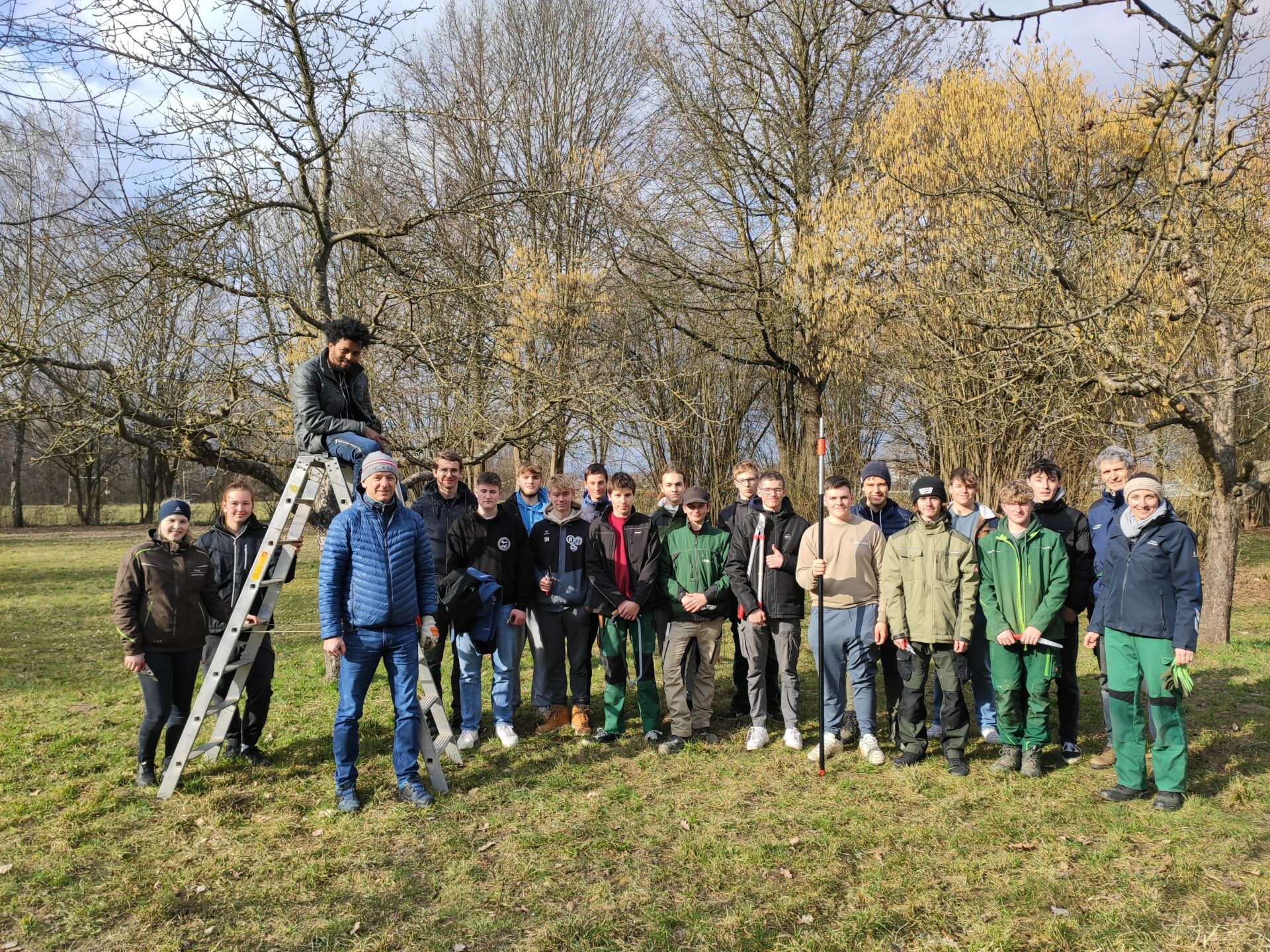Landschaftsgärtnerinnen und Gärtner pflegen Obstbäume! Marianne