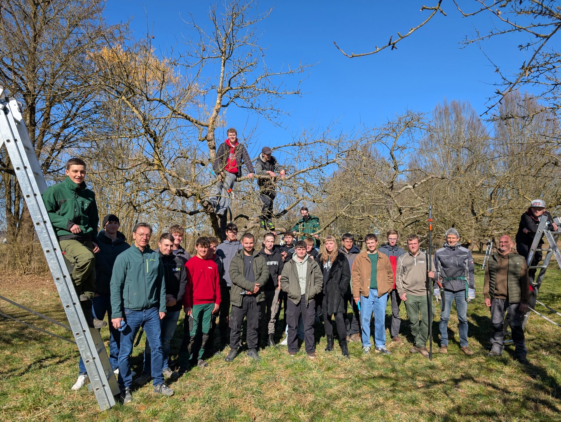 Landschaftsgärtner und Baumschüler lernen den Obstbaumschnitt!